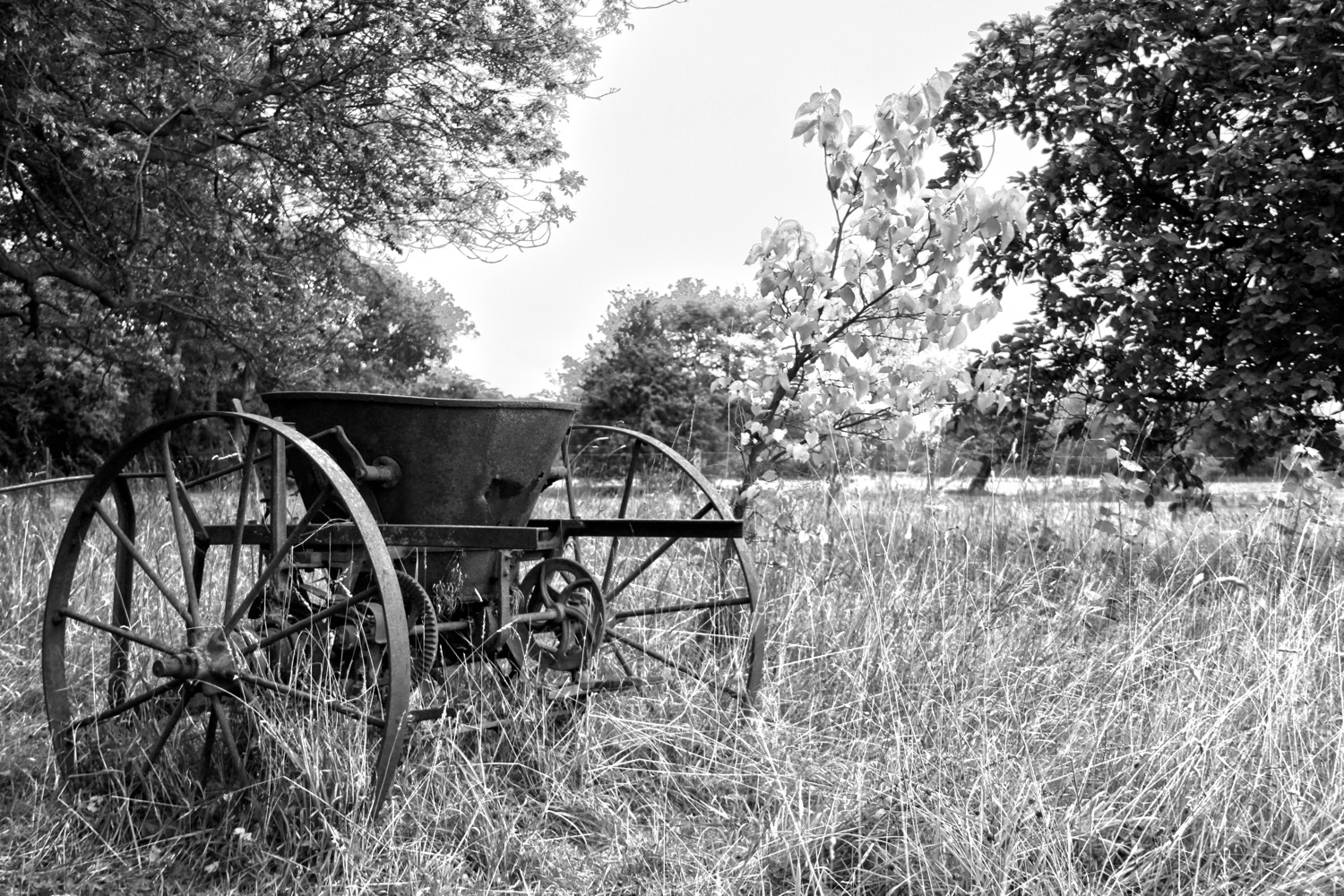 2010_08_25_4635_B%20and%205